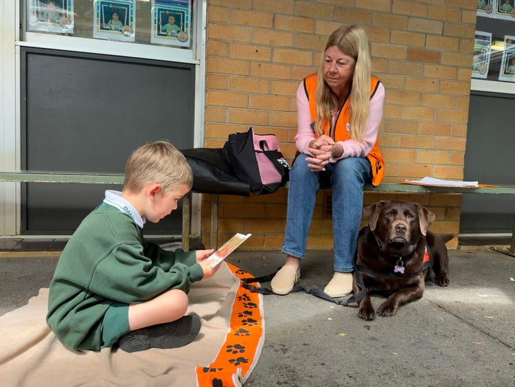 One of our Kindergarten students reading to Heidi, with support from Kate, a member of the Story Dogs program.