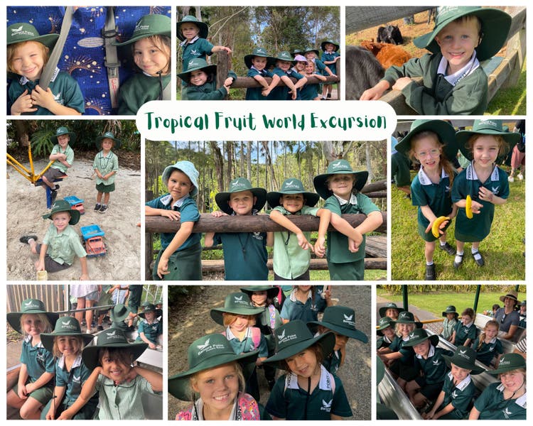 A collage of photos from an excursion to Tropical Fruit World. For some students, it was their first bus ride. They fed bananas to cows, enjoyed a boat ride on the lake, and explored the play area.